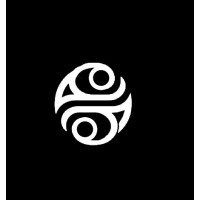 Point Vision logo - Similar company to Splintzer Technologies