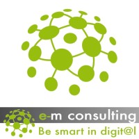 e-m consulting logo - Similar company to Kaouenn E-Learning
