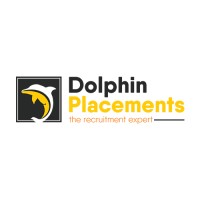Dolphin Placements logo - Similar company to Wdmtech