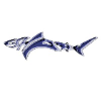 e-Shark S.r.l. logo - Similar company to Best Software