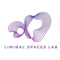 Liminal Spaces Lab LLC logo - Similar company to Analytics Made Accessible Llc