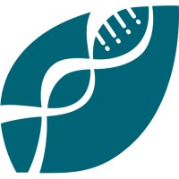 Genealogic Family Research Services