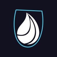 Bismut logo - Similar company to Uniic App
