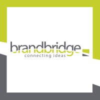 Brandbridge srl, connecting ideas logo - Similar company to Aesthetes
