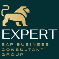 Expert SAP Business Consultant Group logo - Similar company to Chelford Sap Solutions