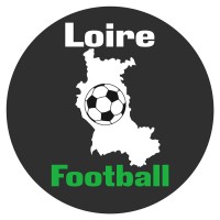 LoireFootball logo - Similar company to Sam Informatique Divisione Italia