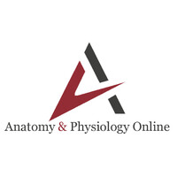 Anatomy & Physiology Online Courses logo - Similar company to 3D Anatomy Studios