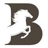 Blackwater Academy logo - Similar company to Msa Security B.V.