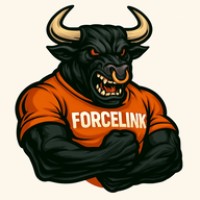 Forcelink Soluções logo - Similar company to Forcelink