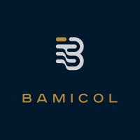 Bamicol Appliances logo - Similar company to Damitec Srl
