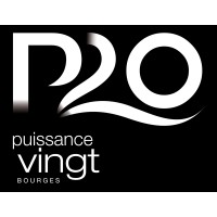 Puissance 20 Bourges logo - Similar company to Devilish Tattoo