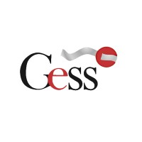 Gess consulting logo - Similar company to Gess Consulting