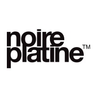 Noire Platine logo - Similar company to Mind Work Ramps
