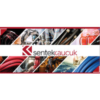 SENTEK KAUCUK SAN. VE TIC. LTD.STI. logo - Similar company to Sentek Kauçuk