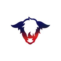 Team Shazoo LTD logo - Similar company to Tatum Res-Tech