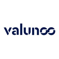 Valunoo logo - Similar company to Data Engineers Gmbh