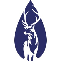 White Stag Investing logo - Similar company to Grape Software Solutions