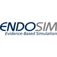 EndoSim logo - Similar company to Reqmasters Gmbh