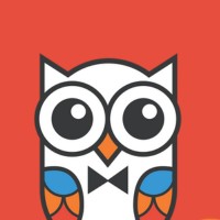 CultureOwl logo - Similar company to Happening Out Television Network