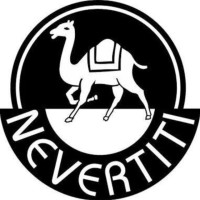 Nevertiti star trading LLC logo - Similar company to Primegems