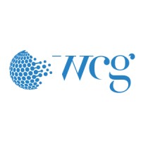 World Consulting Group logo - Similar company to Kingaru Foundation