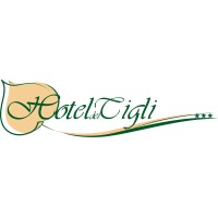 Hotel dei Tigli S. Farci logo - Similar company to Newspace Index | Newspace.Im