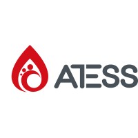 ATESS Power logo - Similar company to Shenzhen Xingjiexun Electronics Co.Ltd