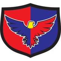 Falcon Edufin logo - Similar company to Vardeez