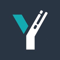 Ypsilon Solutions logo - Similar company to Alquimius