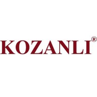 MUSTAFA KOZANLI MÜHENDİSLİK LTD.STI. logo - Similar company to Teknomasyon Maki̇na Sanayi̇