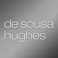 de sousa hughes logo - Similar company to Misawa & Co.,Ltd.