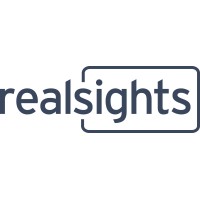 RealSights logo - Similar company to Mapmatix