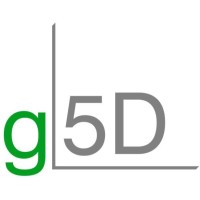 Generic 5D logo - Similar company to D-3 Studio