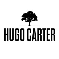 Hugo Carter - Silent Windows logo - Similar company to Etonbury Academy