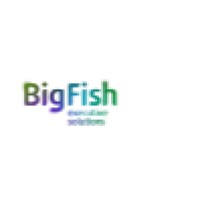 Bigfish Executive Solutions