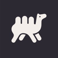 Felipa: Creative Studio logo - Similar company to Nach®