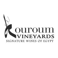 Egyptian International Beverage Co. logo - Similar company to Egybev