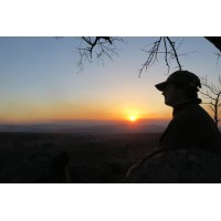 Colin Patrick Training logo - Similar company to Tracking And Conservation K9 Group