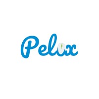 PELUX logo - Similar company to Syspay Software And Solutions Pte Ltd