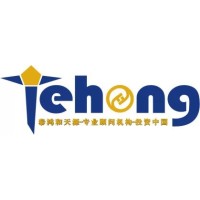 Tehong Consulting Pte Ltd logo - Similar company to Guild Asia | Reinvent Your Impact | 可以的