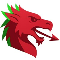 Dragon Digital logo - Similar company to The Tecdesk
