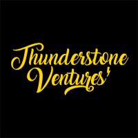 Thunderstone Ventures logo - Similar company to Dalaris B.V.
