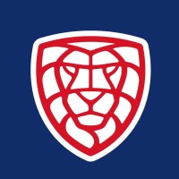 Český florbal logo - Similar company to Diusai