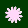 Blossom Team logo - Similar company to Belfor Belgium