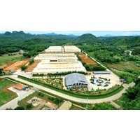 Bamboo King Vina logo - Similar company to Idecor