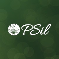 PSil Desenvolvimento Humano e Organizacional logo - Similar company to Super Cérebro