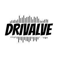 Drivalve logo - Similar company to Candeia - Associação Para Animação De Crianças E Jovens (Ipss)