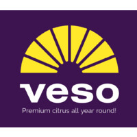 Veso logo - Similar company to Box Trade