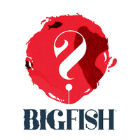 Big Fish logo - Similar company to M&U Worldwide
