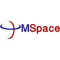 MSpace Solutions Limited logo - Similar company to Mspace